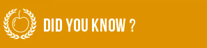 did-you-know